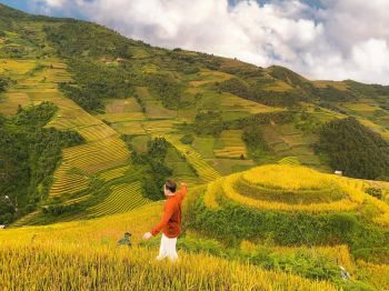 Mu Cang Chai Tourism - Tu Le Ripe Season 3 Days 2 Nights.