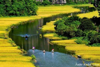 Hoa Lu - Tam Coc - Cuc Phuong 2 Days Tour